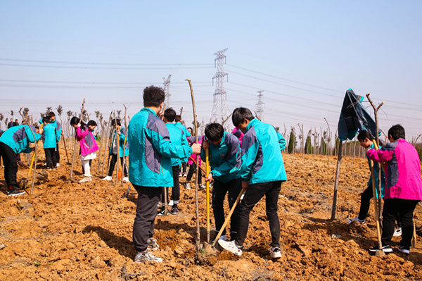 “攜手植樹，共創(chuàng)藍天”丨南京新華師生共筑新華育才林